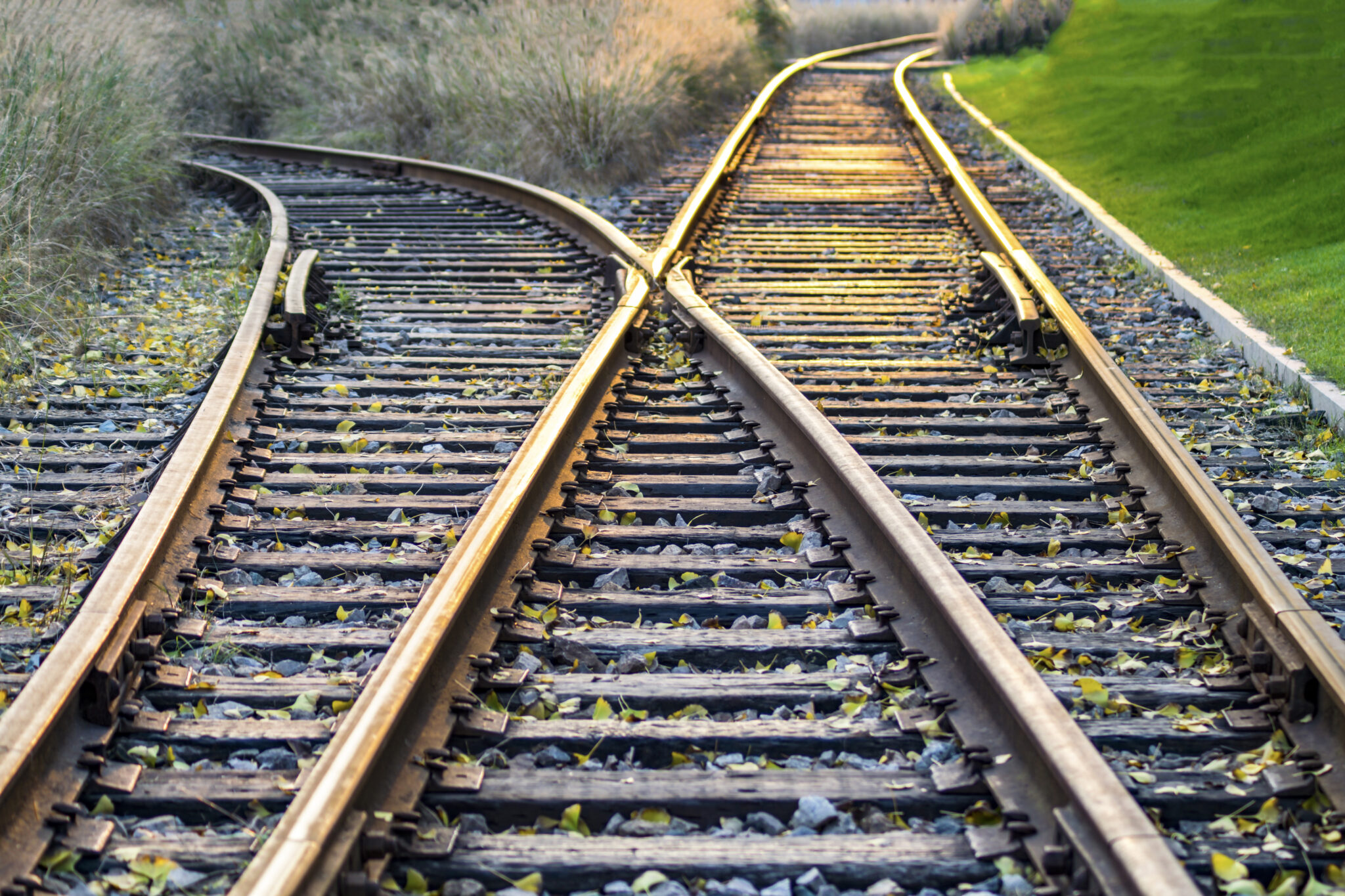Autorregulação no novo marco regulatório das ferrovias