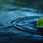 Licenciamento ambiental em transformação: impactos no setor de saneamento