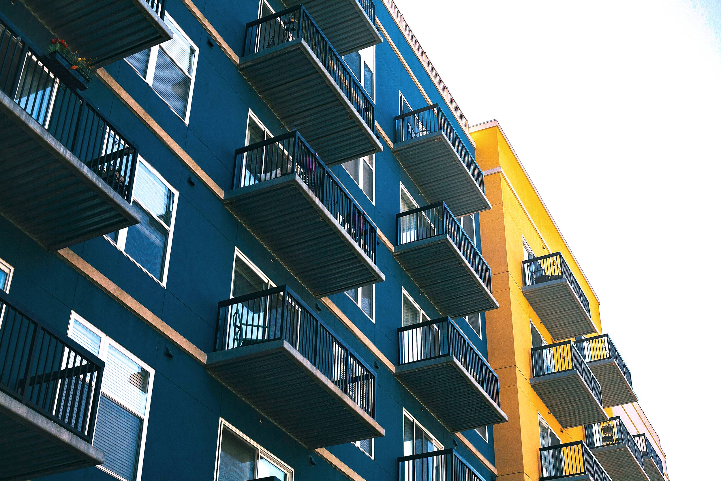A locação social e a diversificação da política habitacional
